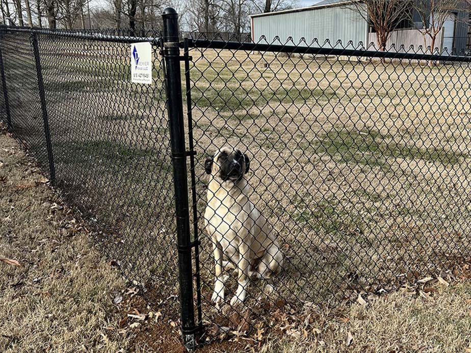 Residential Chain Link Fence Company In Knoxville Tennessee