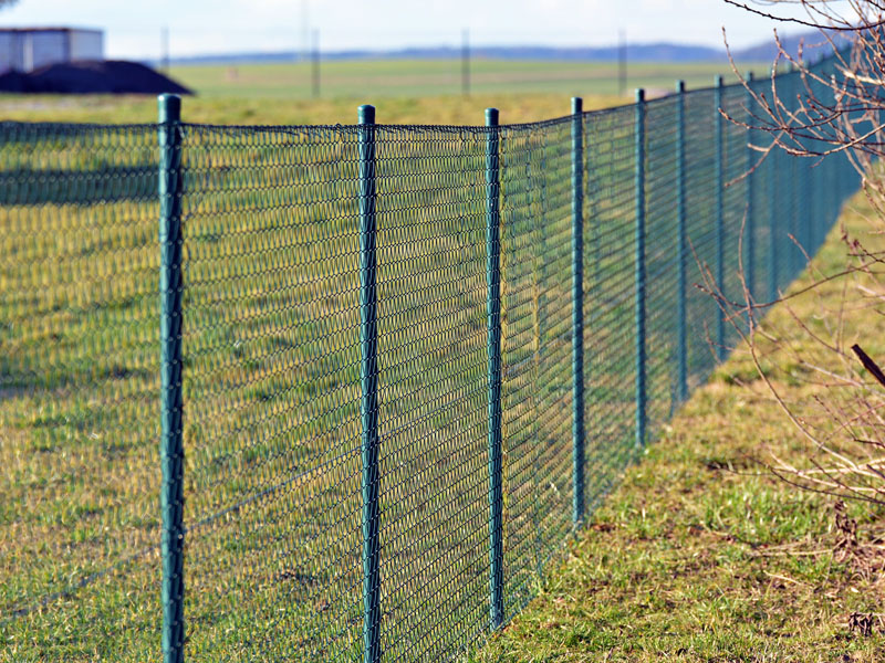 Knoxville TN green pvc chain link fence